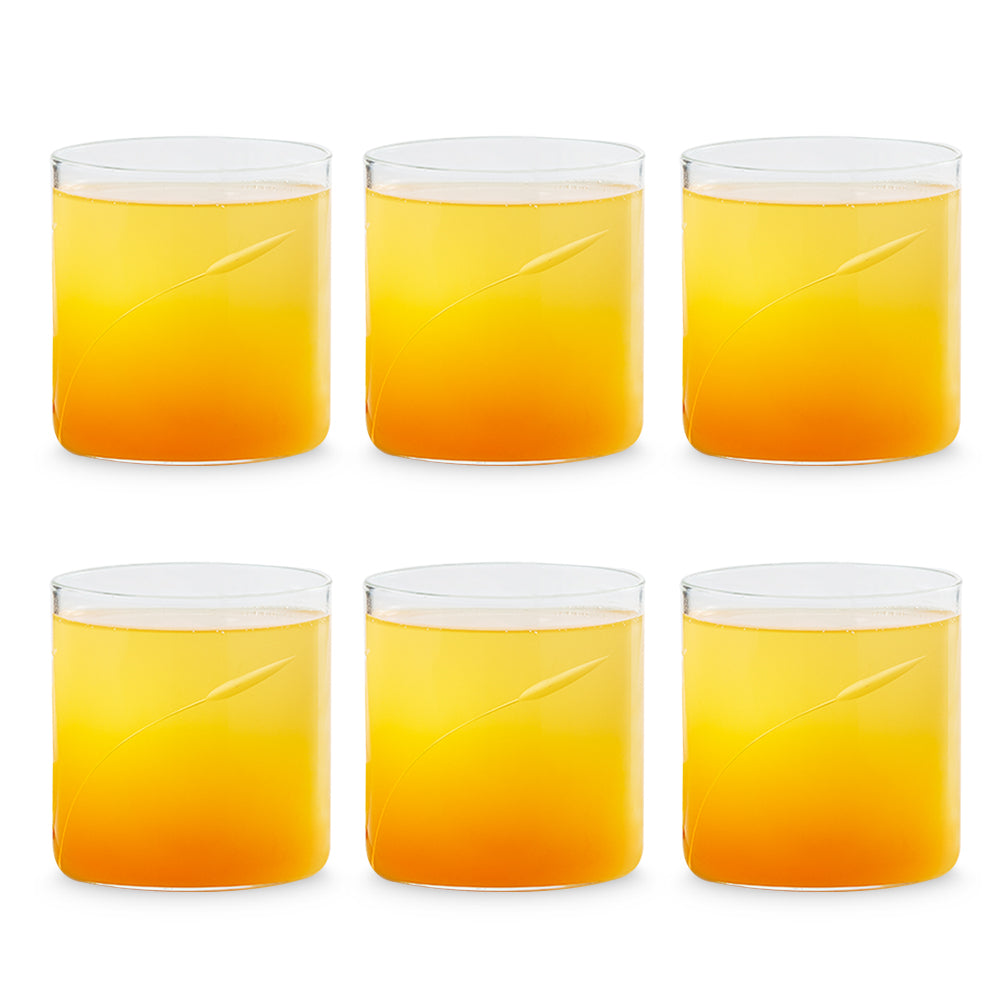 Swirl Cut Glass, Set of 6