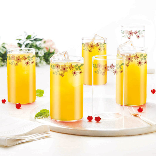 295ml Glass Set of 6