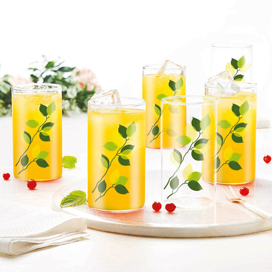Green Leaves Glass, Set of 6, 295ml